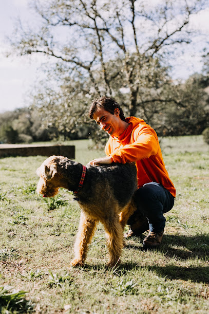 Cão Nosso - Treino de Cães, Creche Canina e Formação
