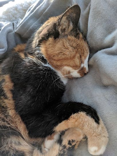 Funero Tierbestattungen