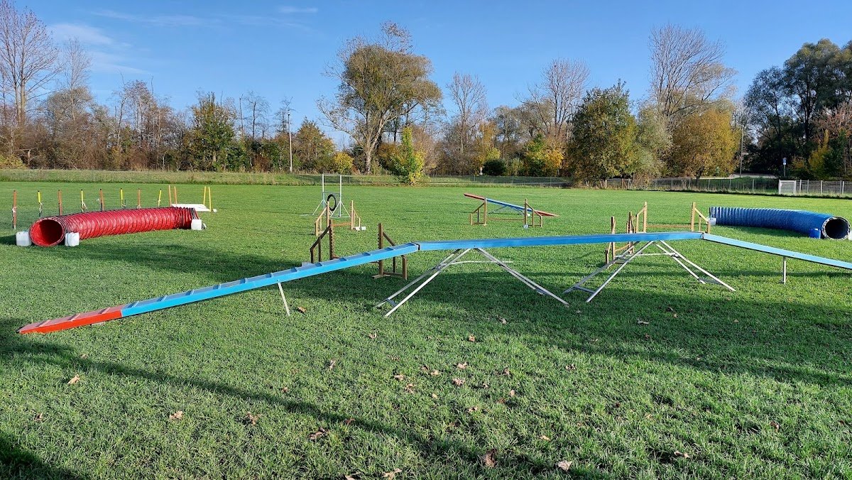 Arons Hundeschule Augsburg - Foto 2