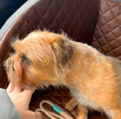 Augsburger Hundesalon