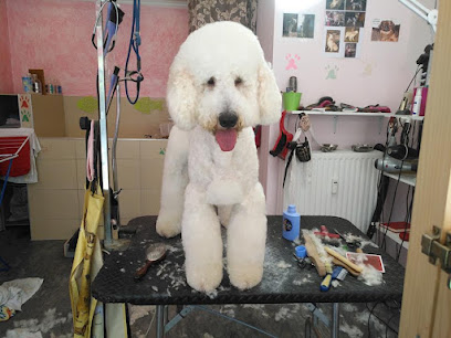 Lonczi TierkosmetikTierpflege