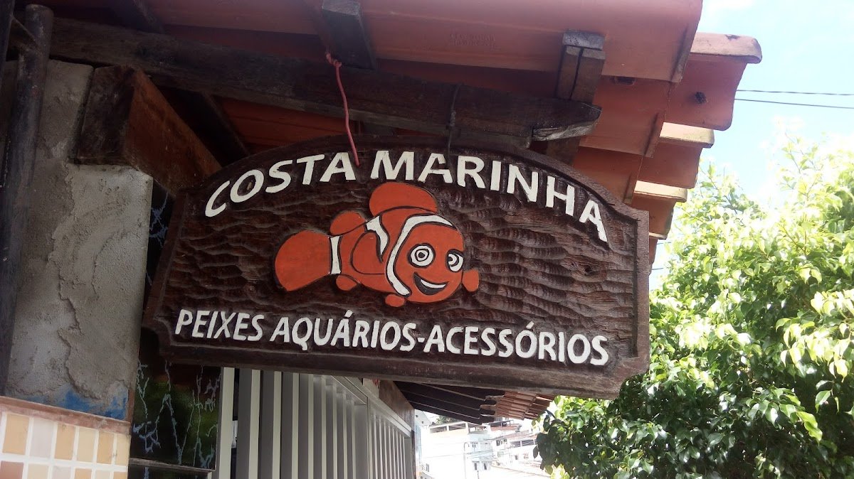 Aquarius Comercio de Peixes Ornamentais Ltda