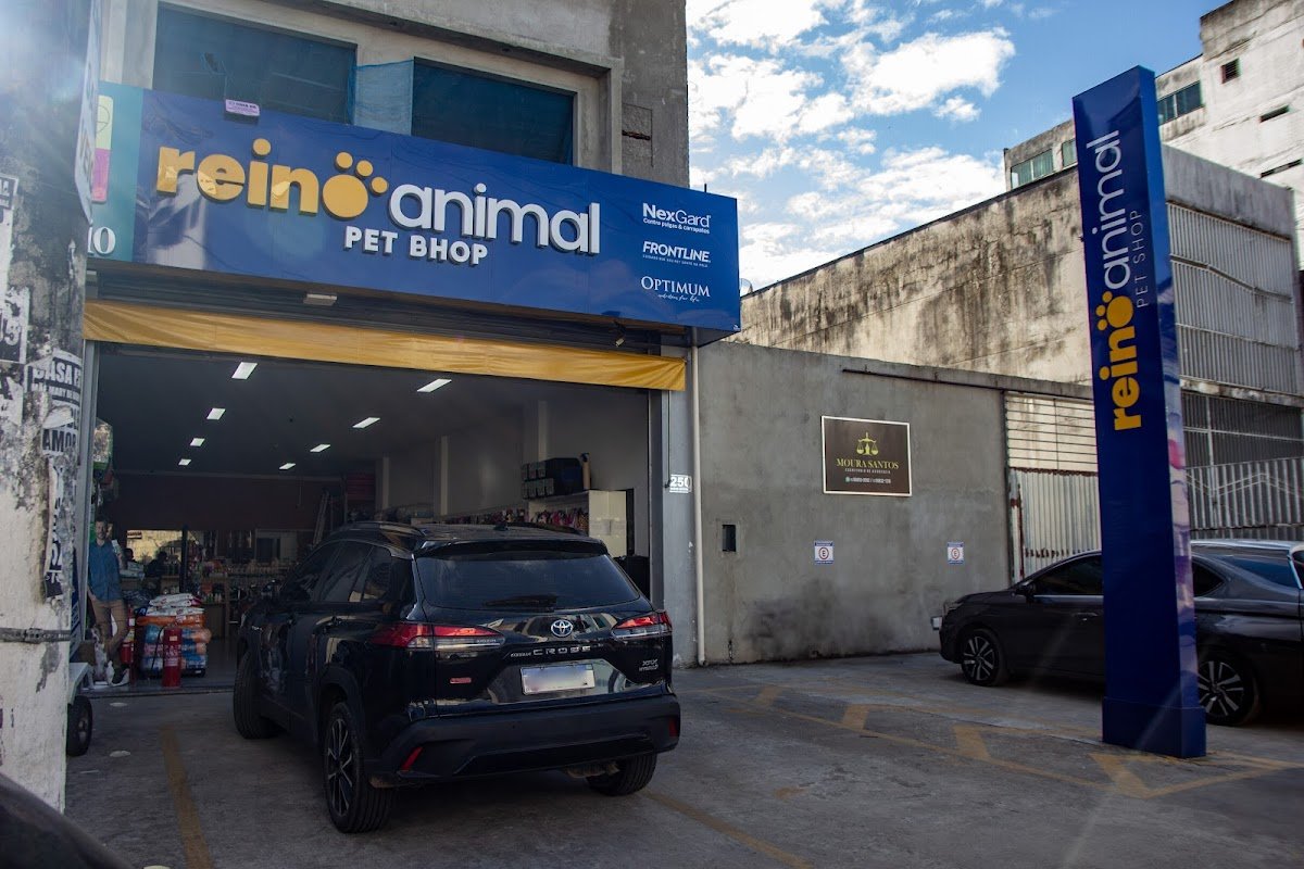 Pet Shop Reino Animal
