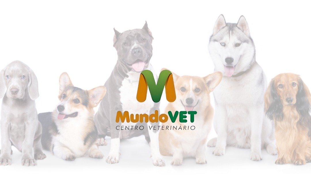 Mundo vet