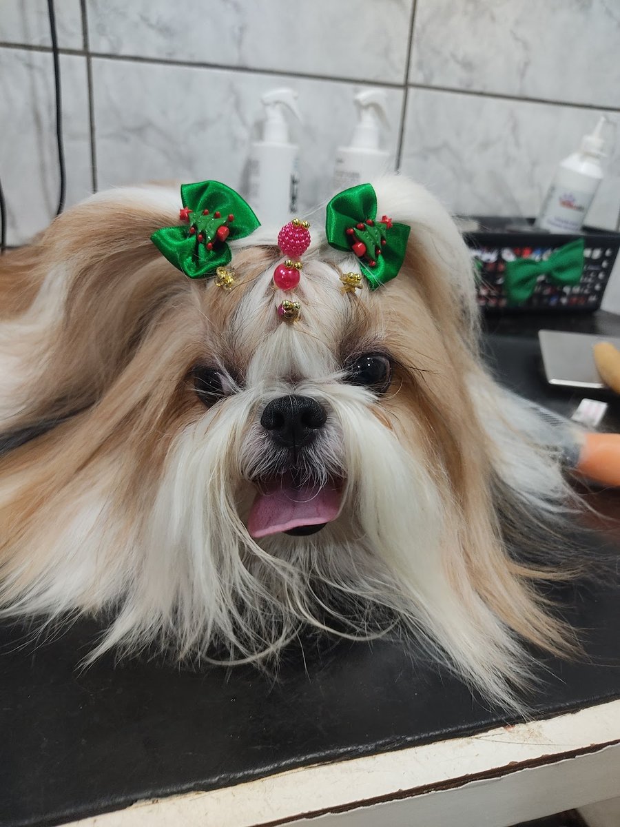 Estimação- Clínica Veterinária e Pet Shop