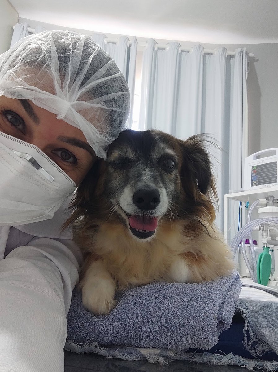 Clinipet - Clínica Veterinária - Pet Shop em Lavras