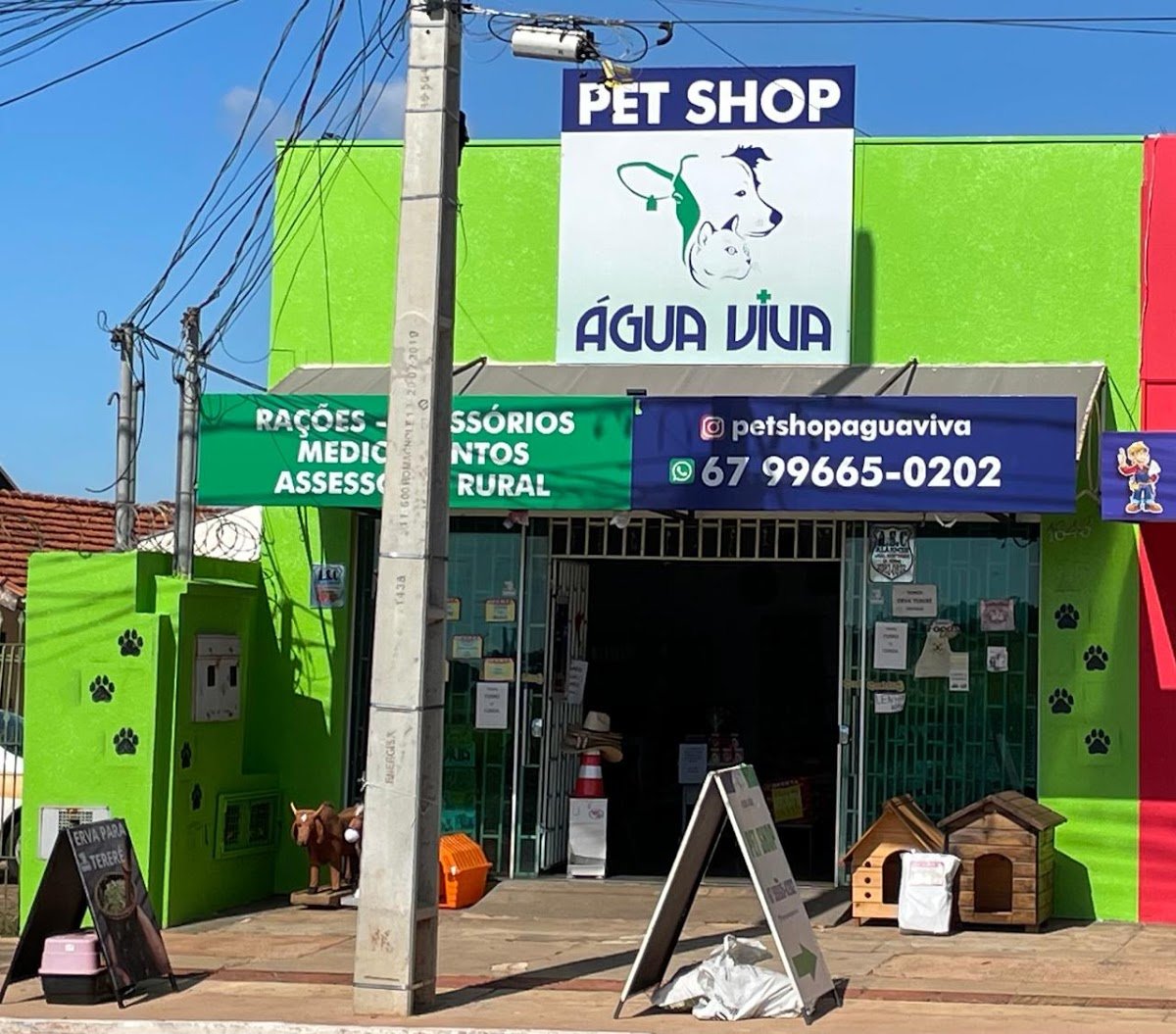 Pet Shop Água Viva - Pet Shop em Campo Grande