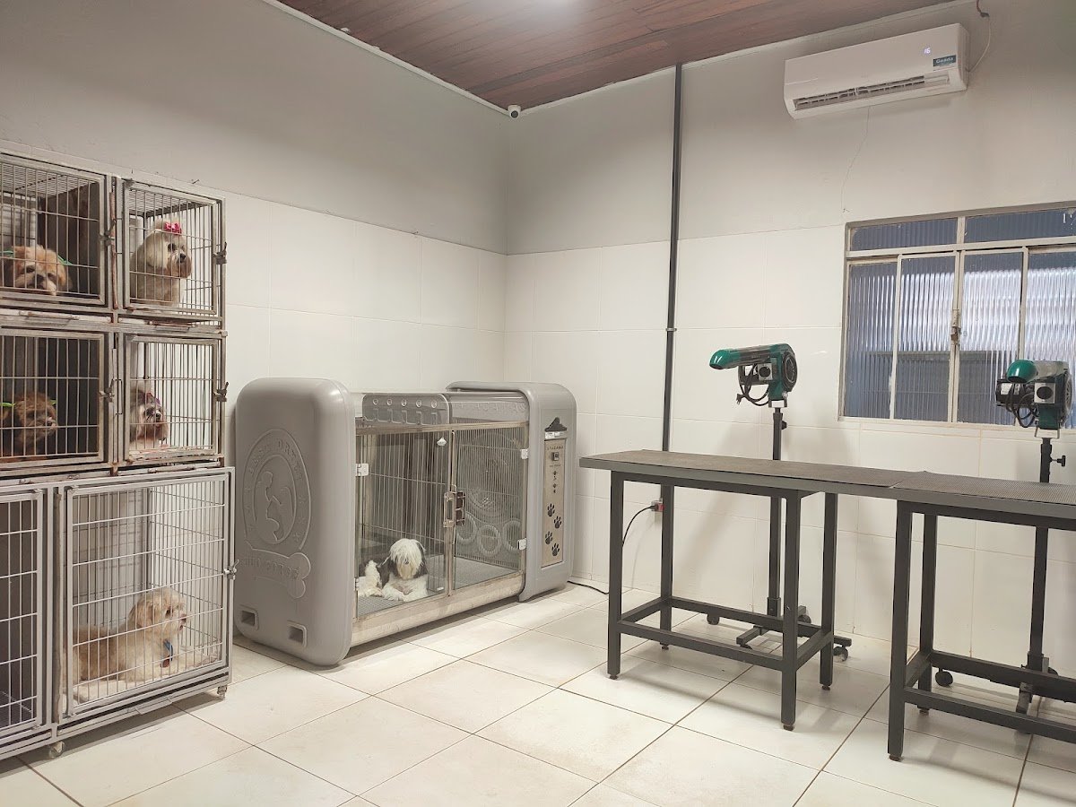 Vetclin clínica veterinária e pet shop, David agenor olienik