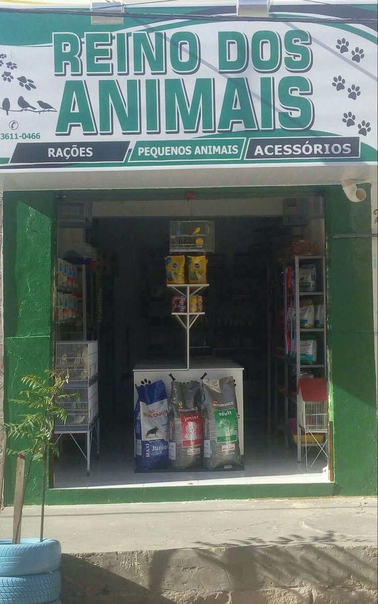 REINO DOS ANIMAIS