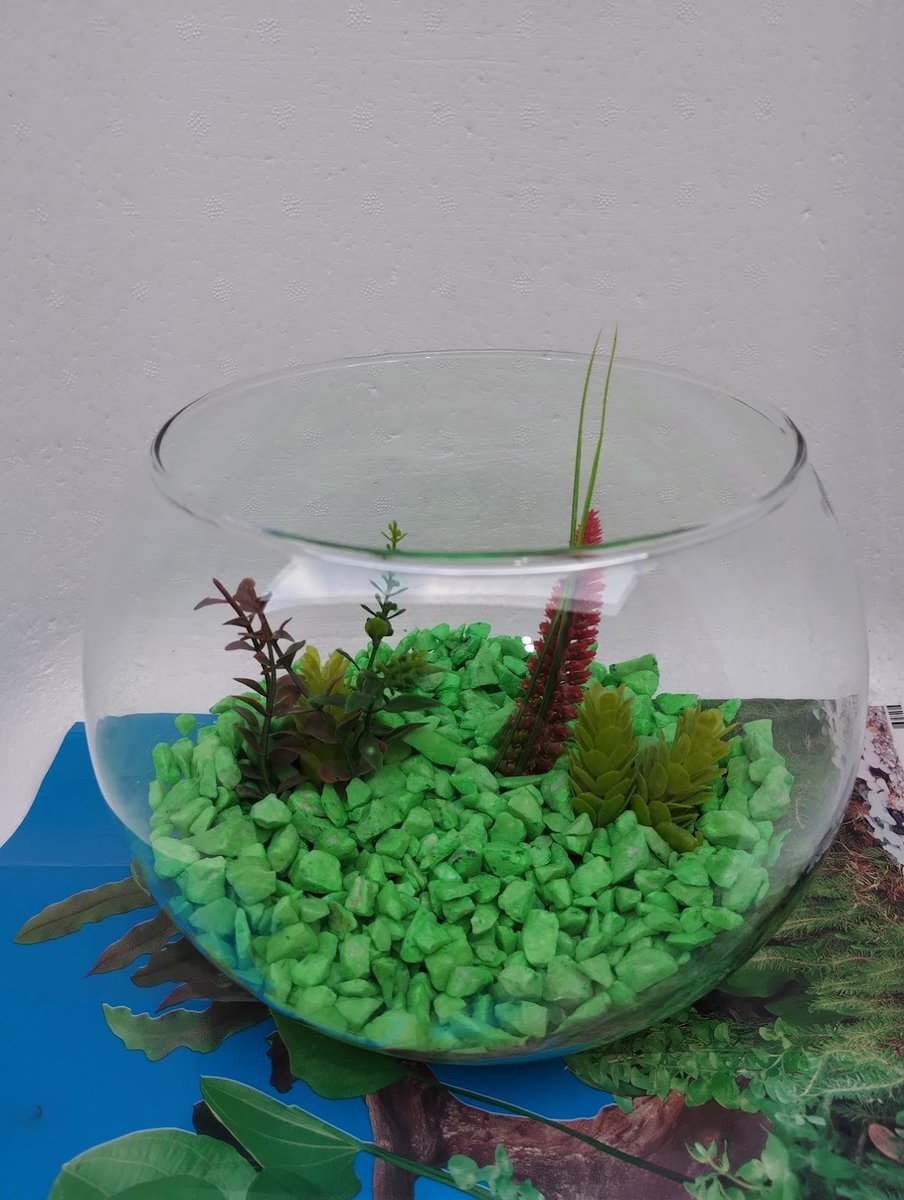 Peixes-ro - Pet Shop em Ji-Paraná