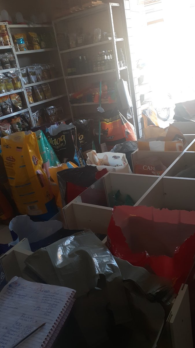 Bicho Mania - Pet Shop em São José de Mipibu