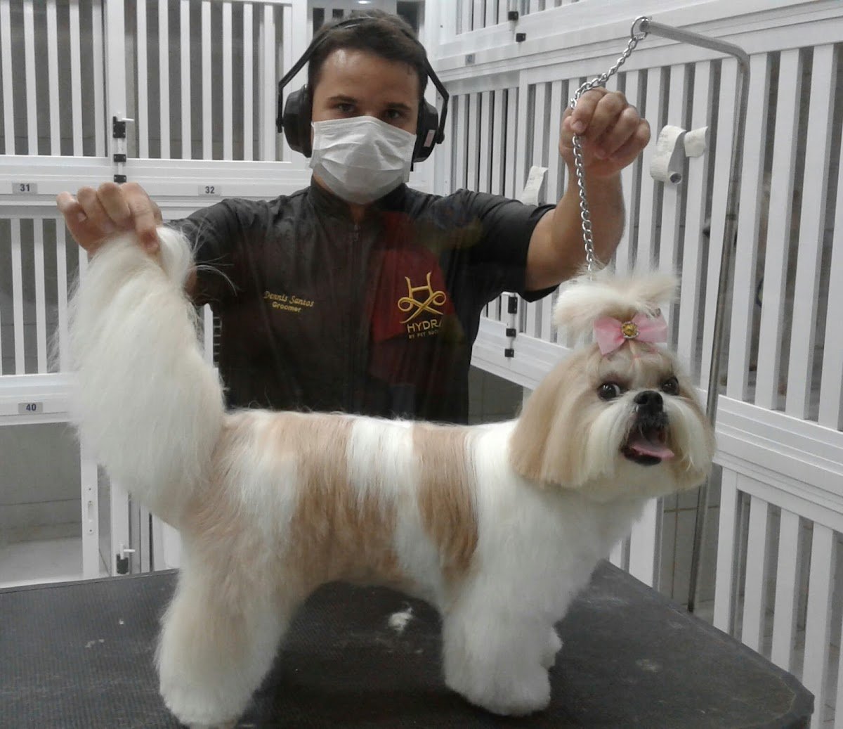 Animal Center Hospital e Pet Shop - Pet Shop em Natal