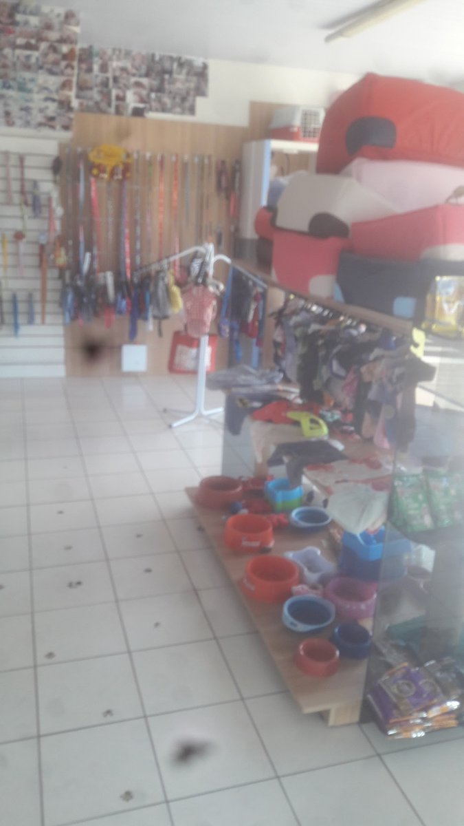 Engenho Animal Pet Shop