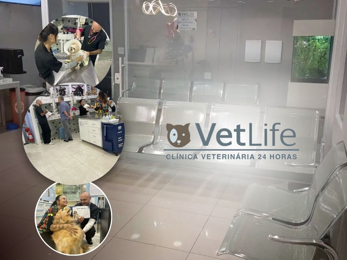 VetLife Clínica Veterinária