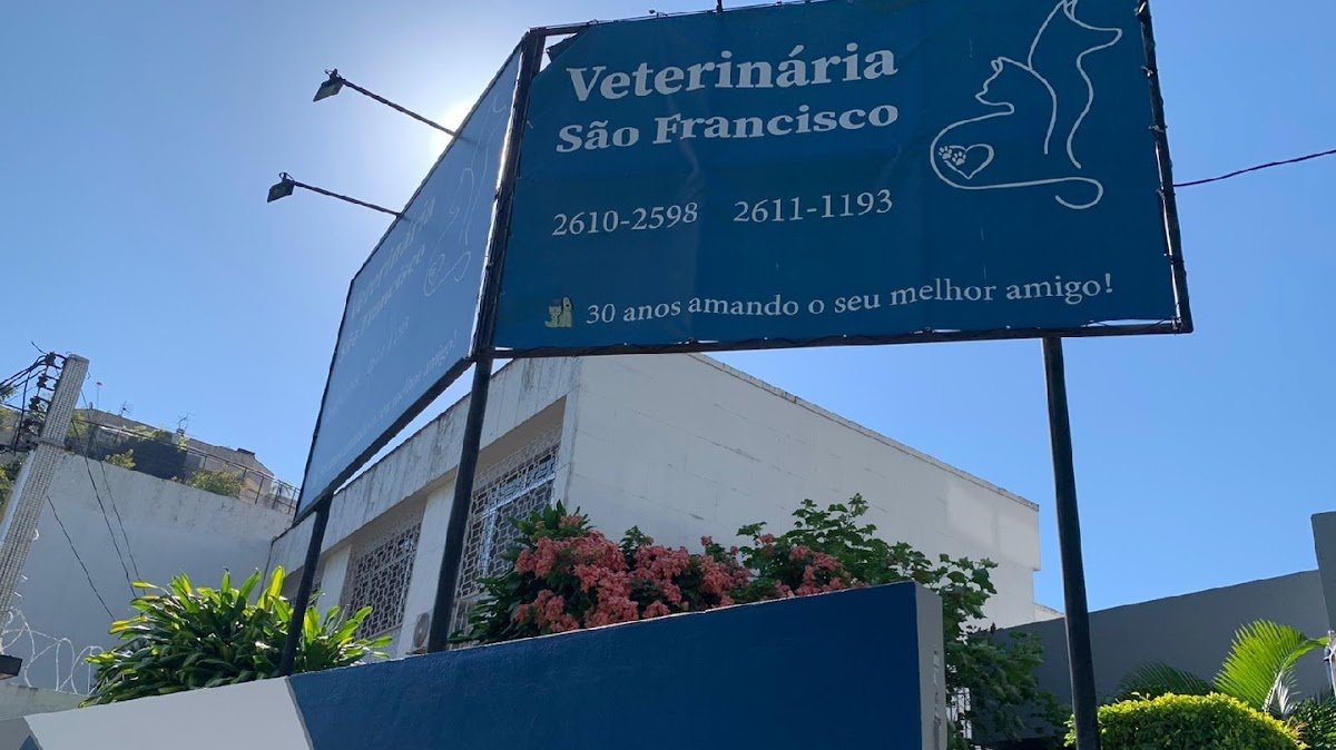 Veterinary Clinic San Francisco