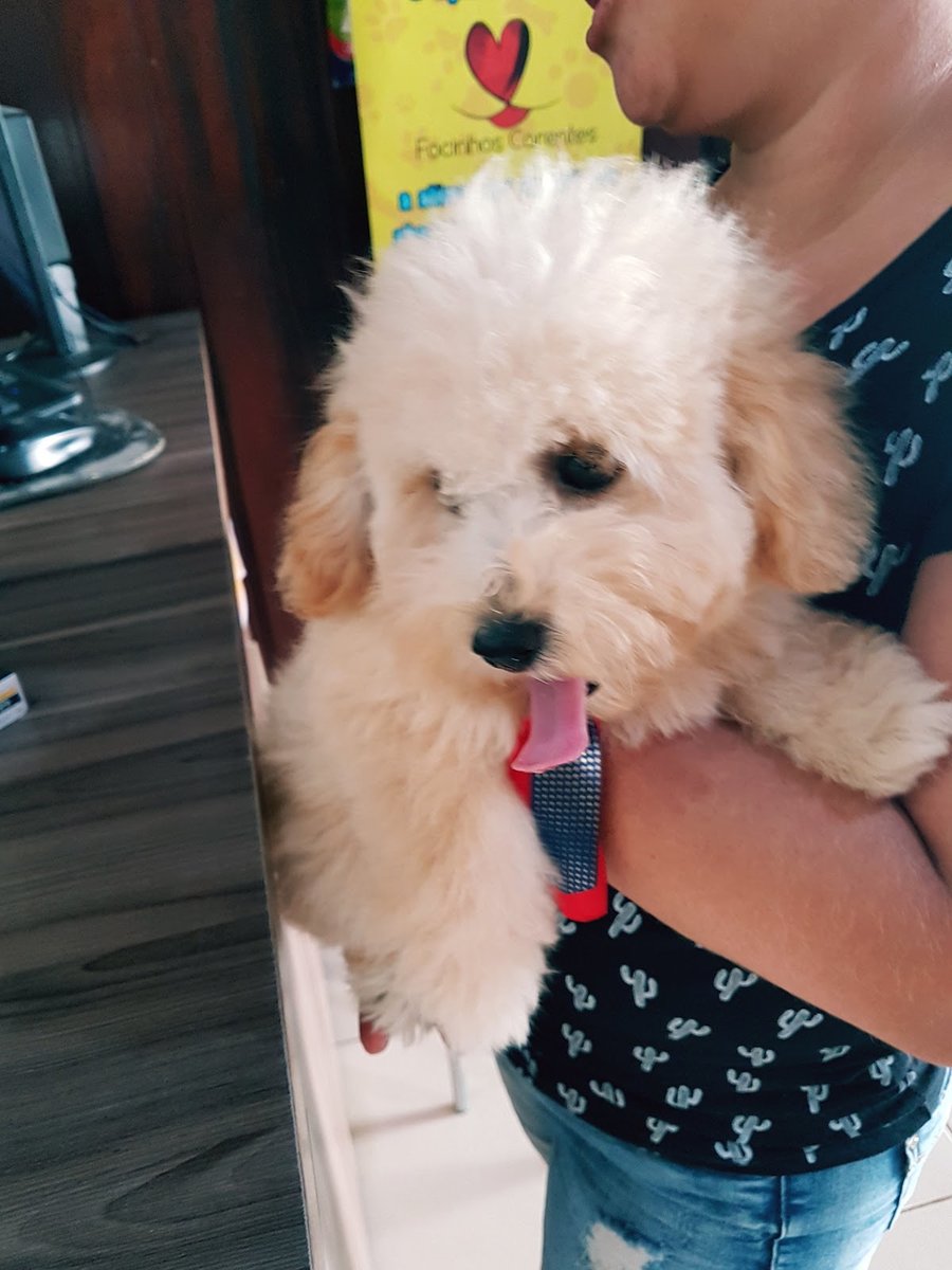 Veterinaria Quatro Patas