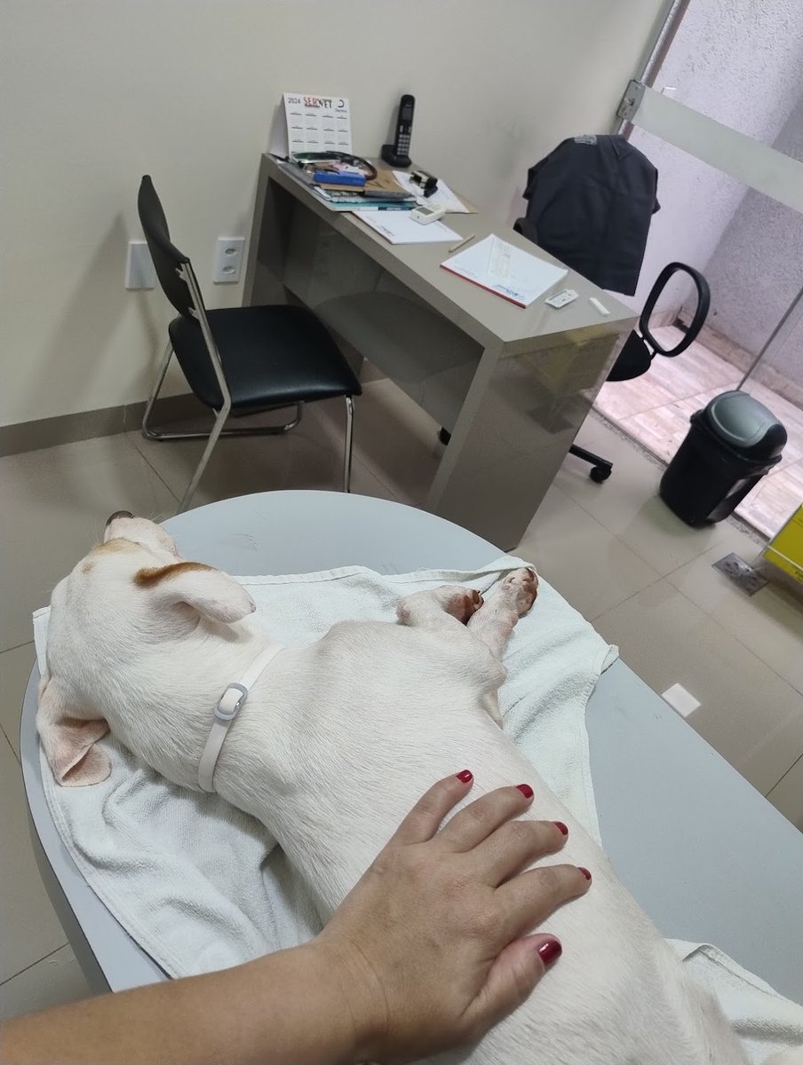 Dr. Paulo Sério Ondei