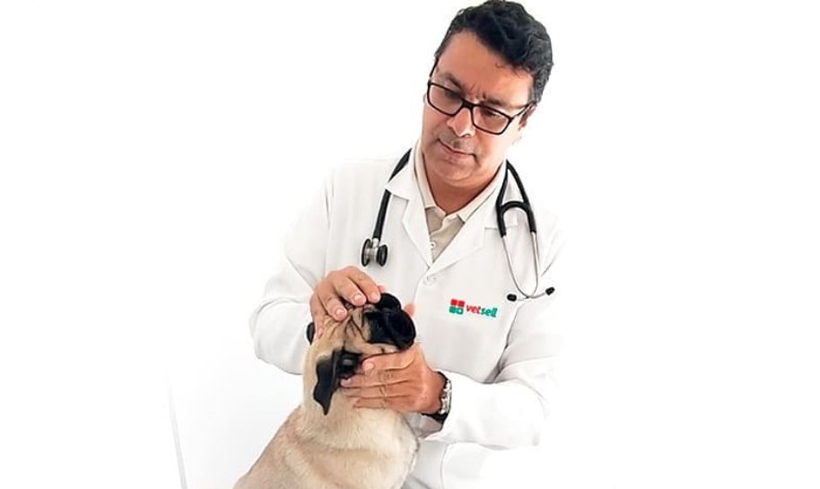 Dagmar Veterinário - Pet Shop em Não-Me-Toque
