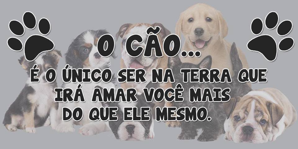 Anjos de Patas Banho & Tosa