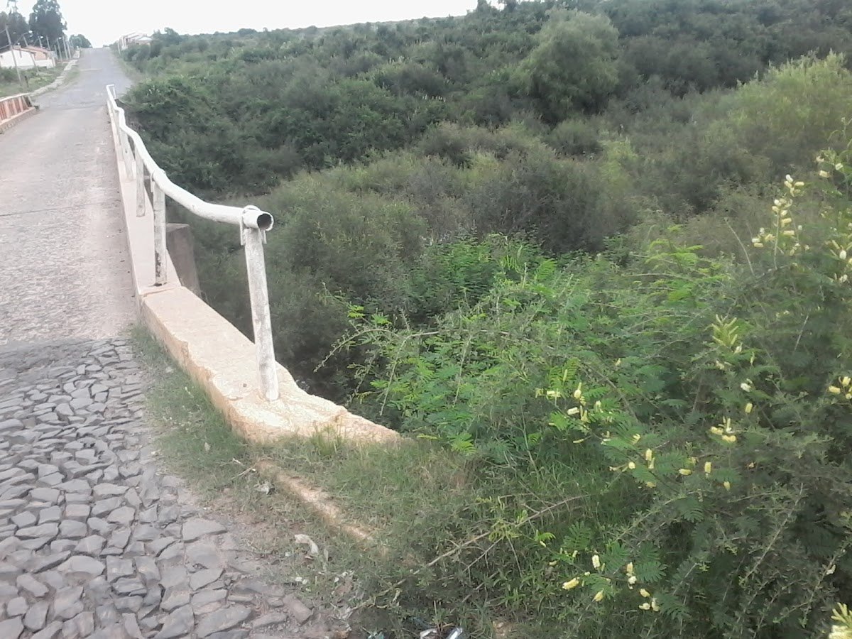 Agroveterinária Nystrom - Quaraí