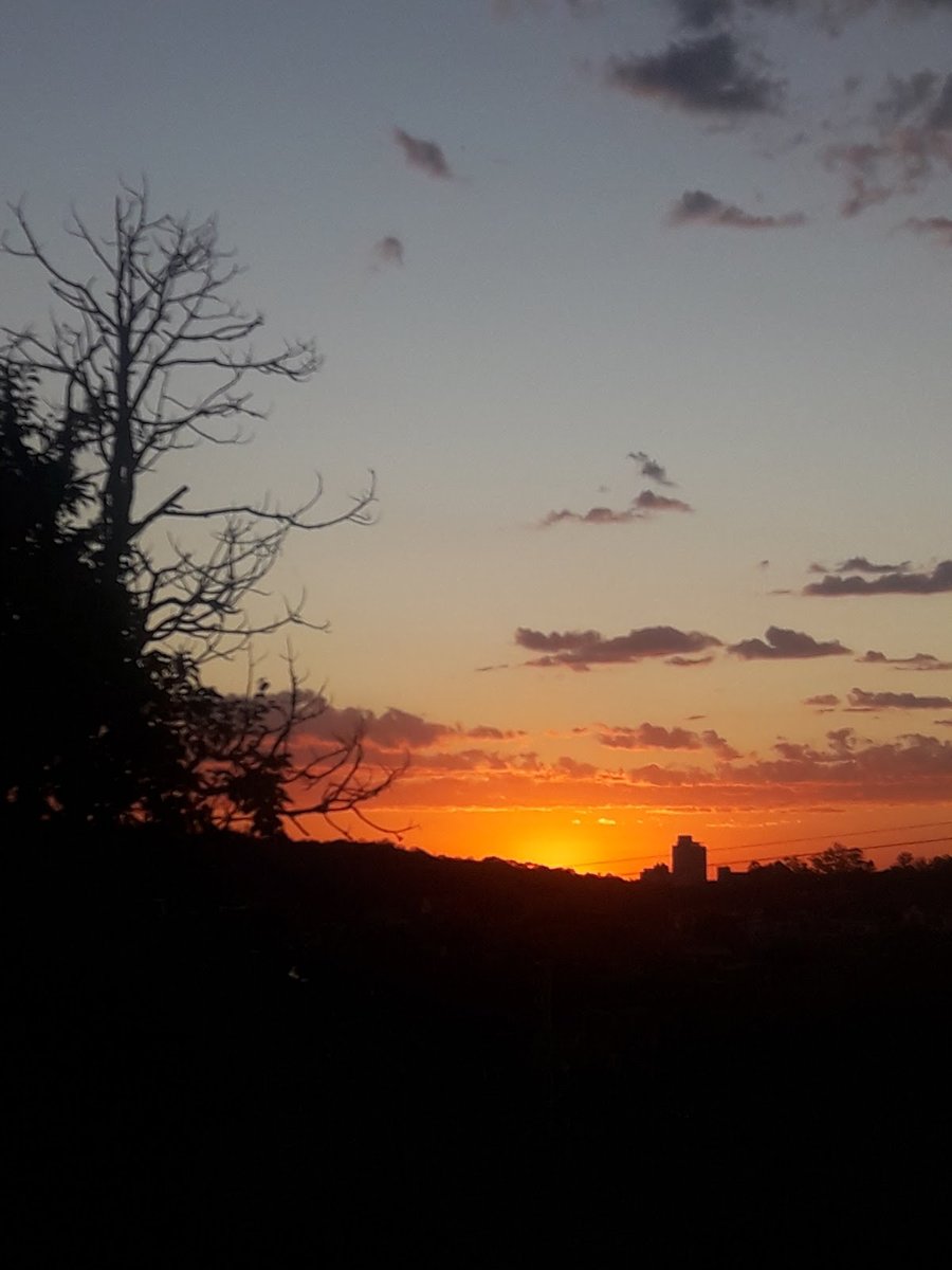 babakão banho e tosa