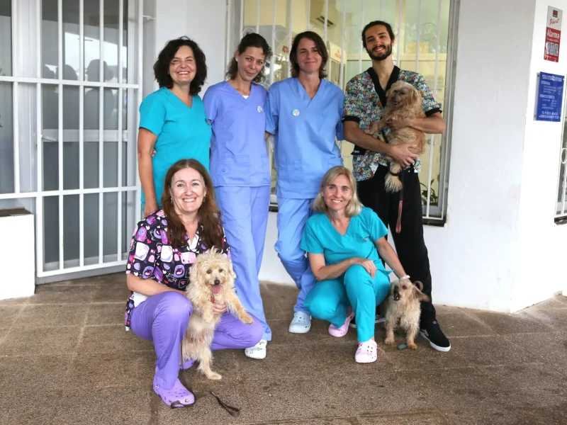 Centro veterinario Vida Animal
