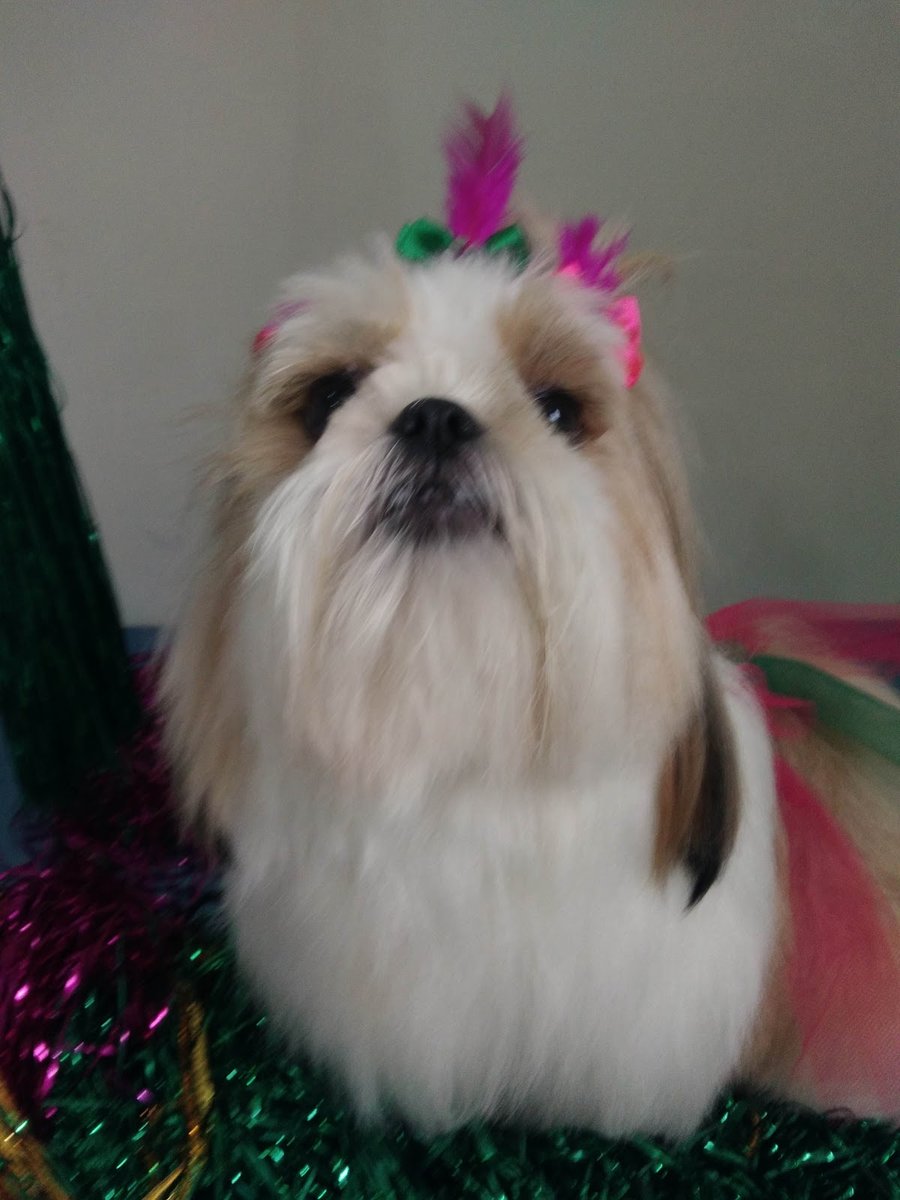 Omega Agroveterinária