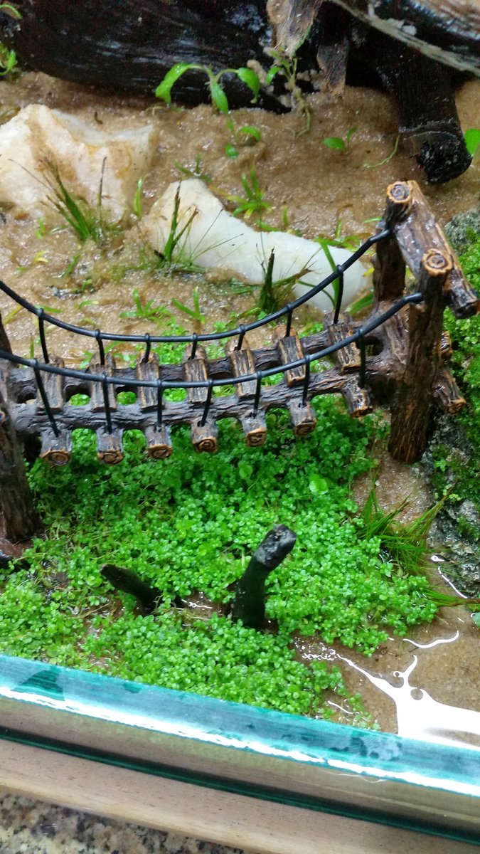 Aquarium