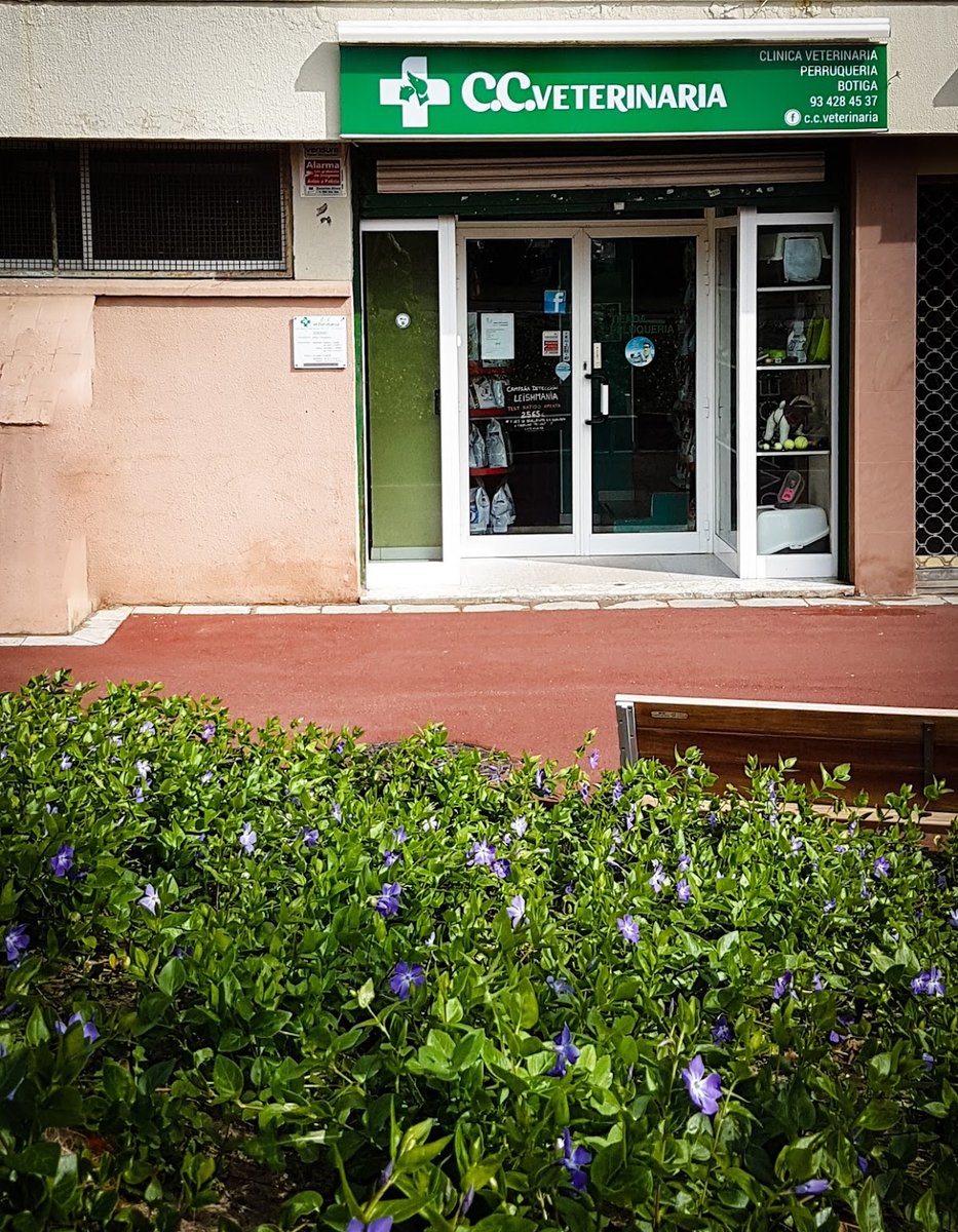 C.C. Veterinaria