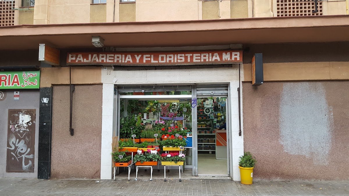 Pajareria Rodríguez - Pet Shop em Barcelona