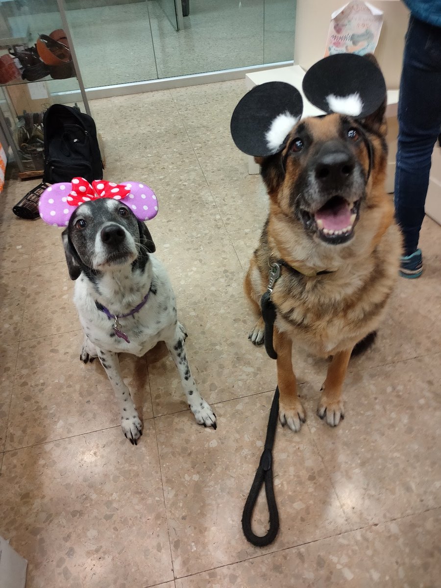 La Botiga dels Princeps de Casa, sl