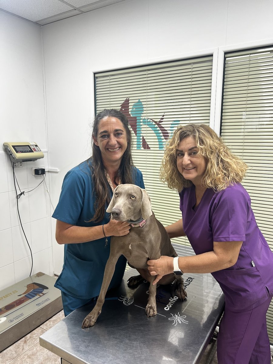 Clínica Veterinaria Can Pile