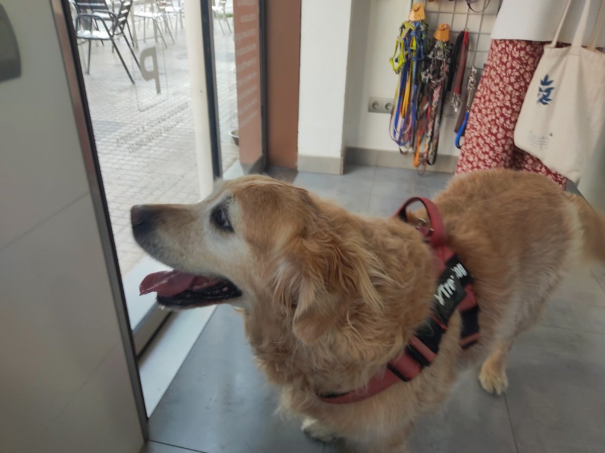 Clinica Veterinaria Progres SLP