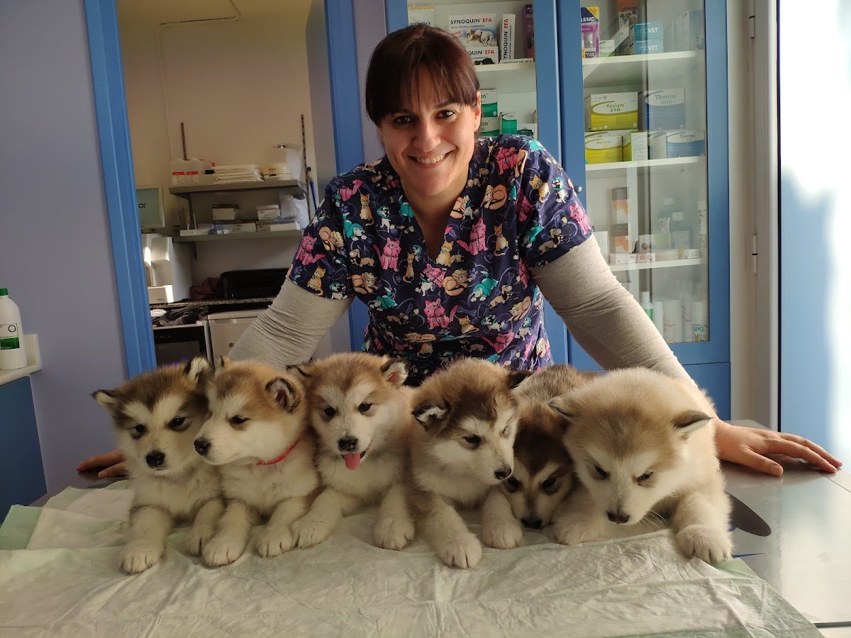Cal Veterinari