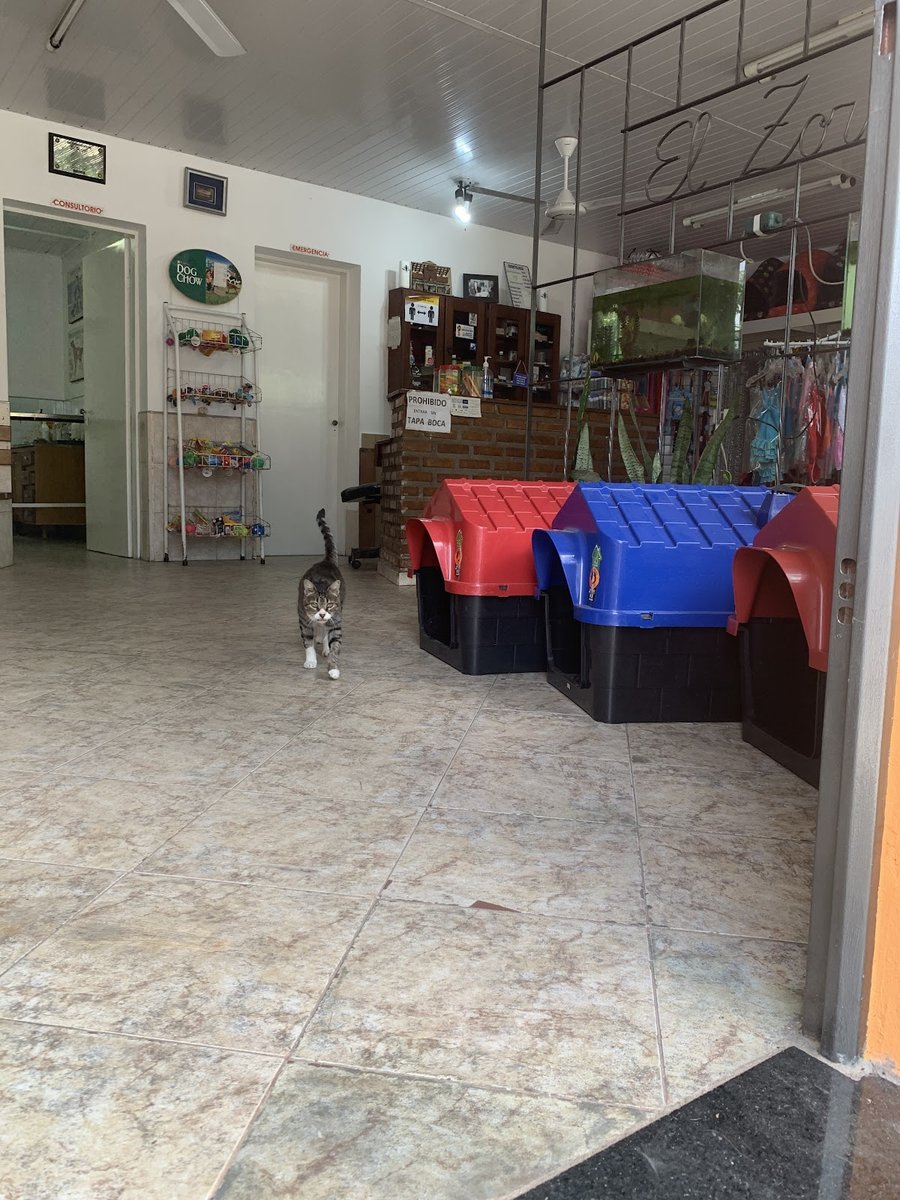 Veterinaria El Zorzal