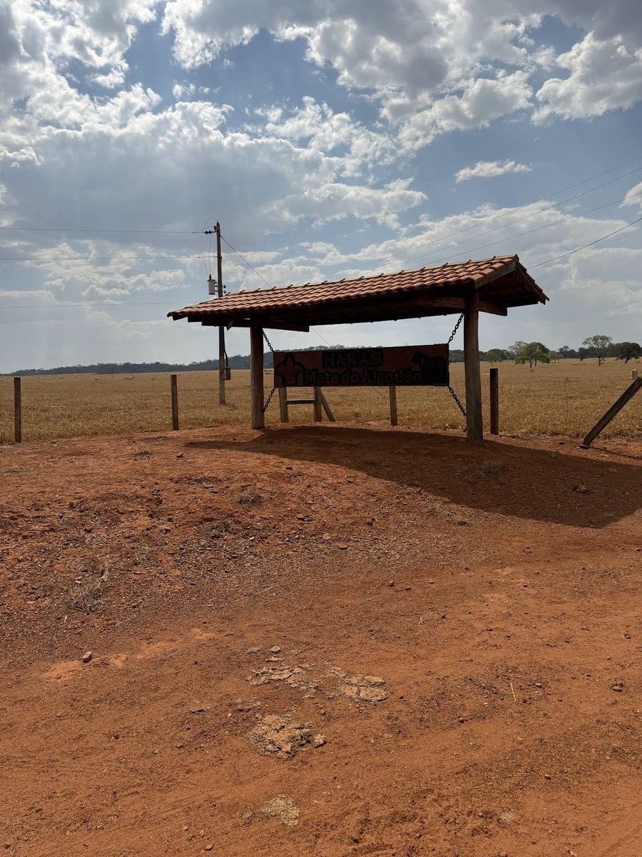Haras Mata de Algodão - Goianira