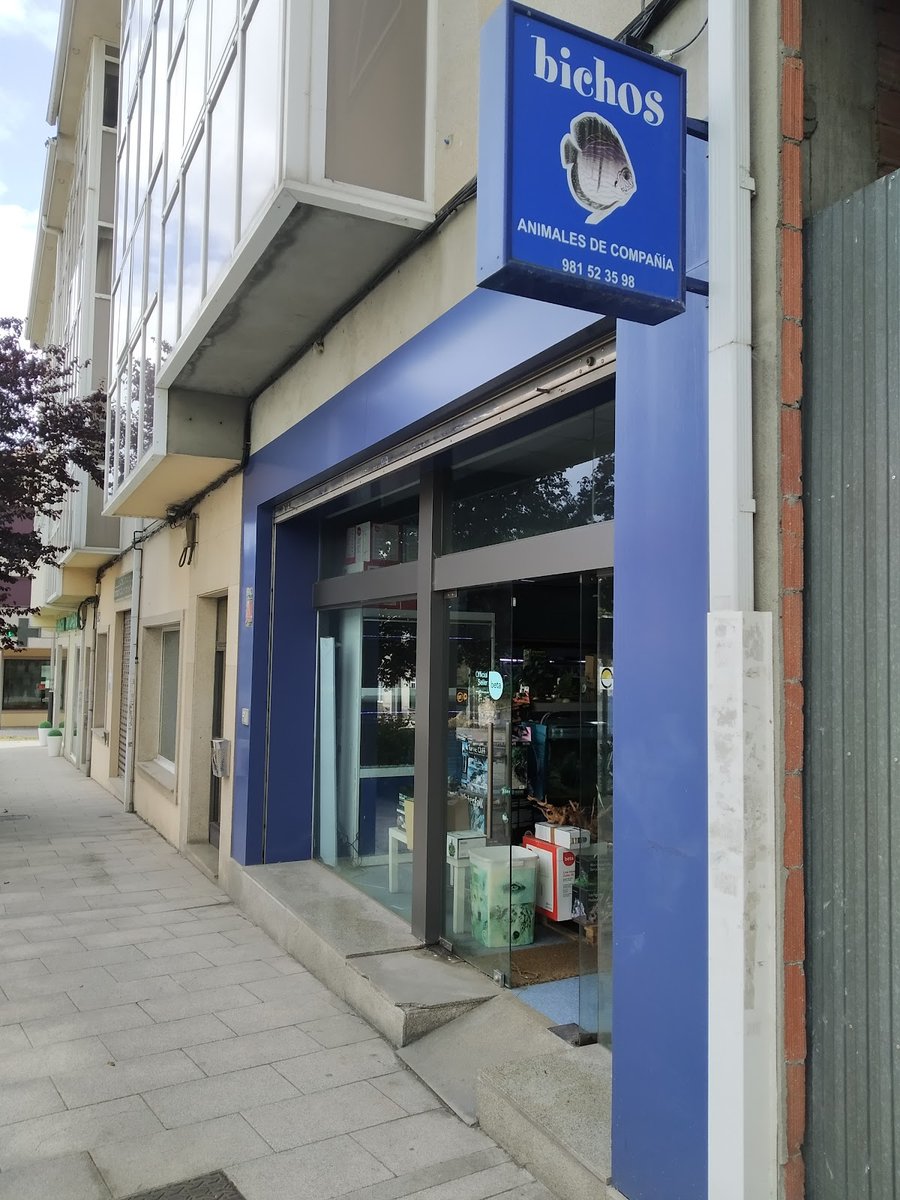 Bichos - Santiago de Compostela