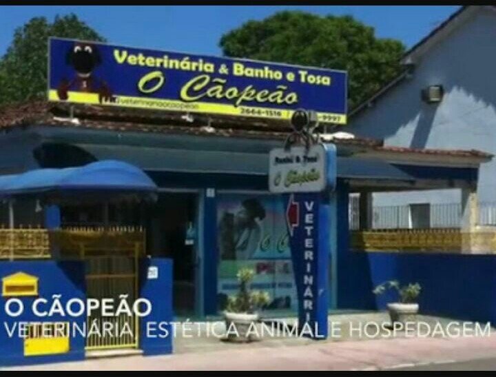 O Cãopeão Veterinária - Pet Shop em Araruama