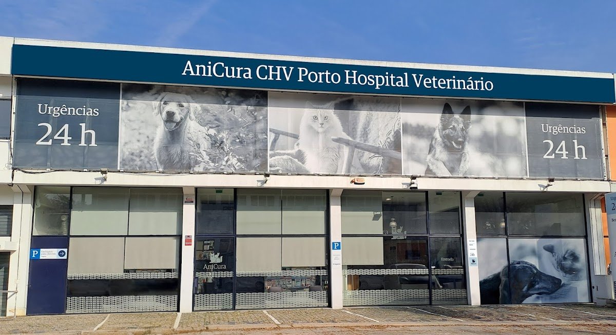 Clínica Veterinária - Pet Shop em Porto