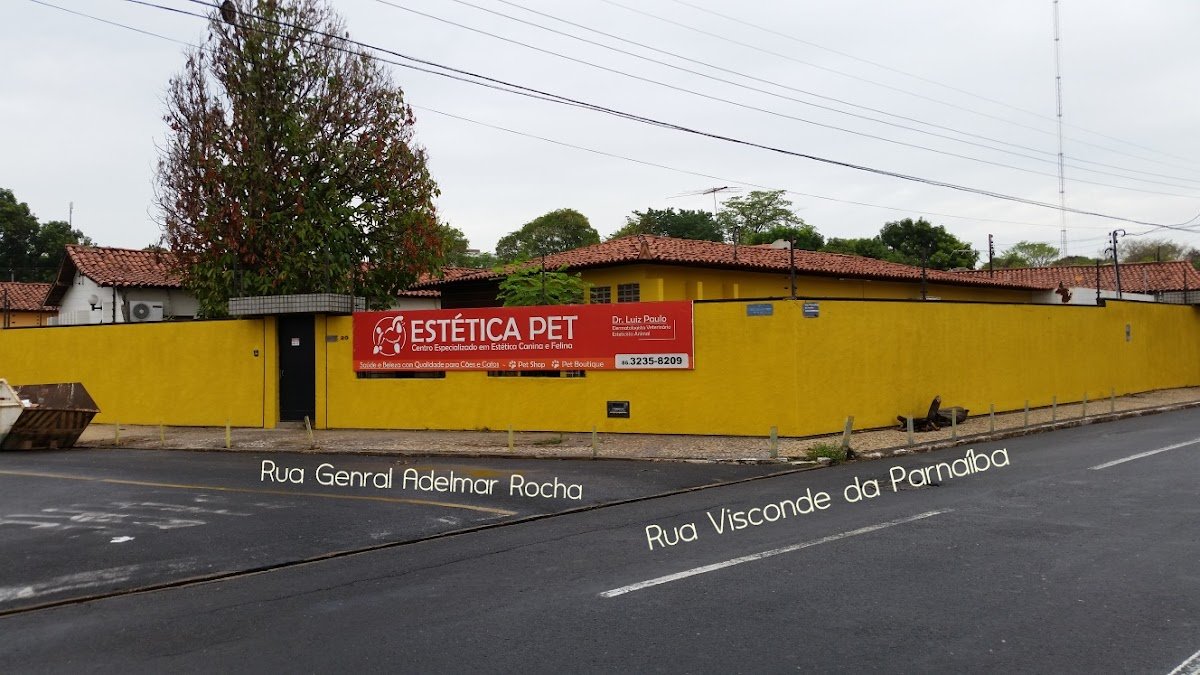 Estética Pet - Pet Shop em Teresina