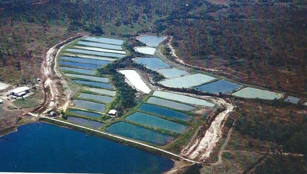 Lufada Agropecuária & Piscicultura Ltda - Pet Shop em Várzea Grande