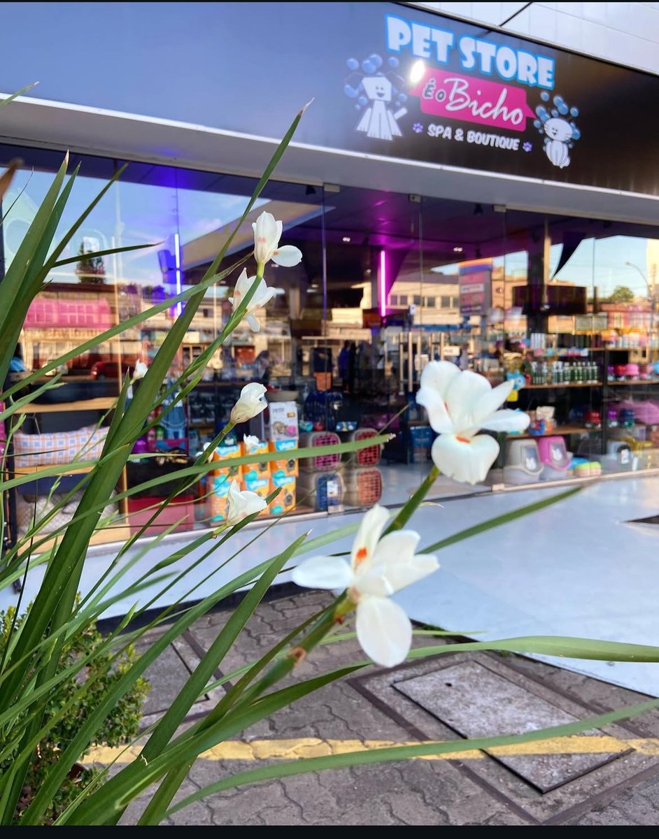 Bicho Belo Estética Canina