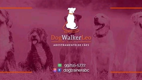 DOG TRAINER-ADESTRAMENTO DE CÃES