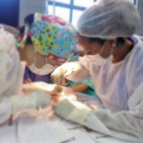 Petts Serviço Médico Veterinário - Dra Melissa Silva