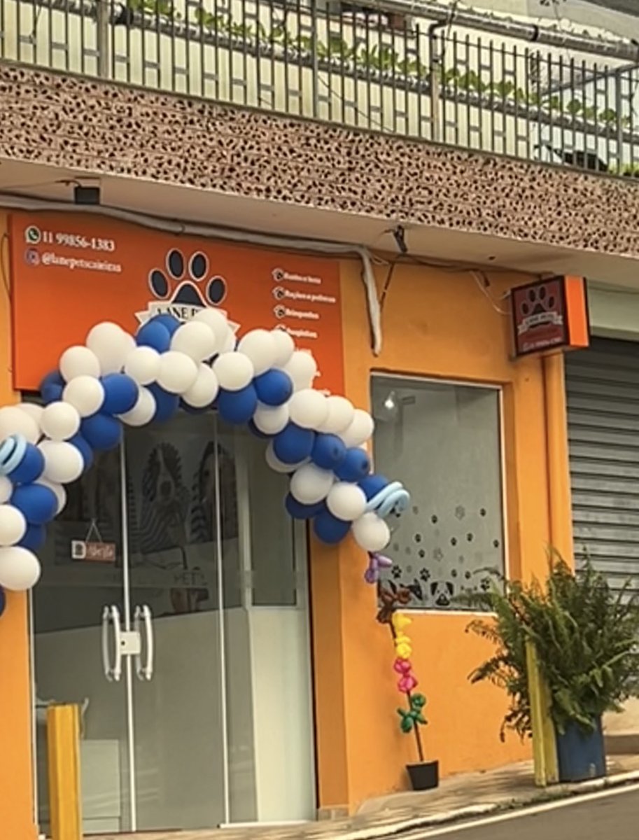 Pet & Pet Banho e Tosa