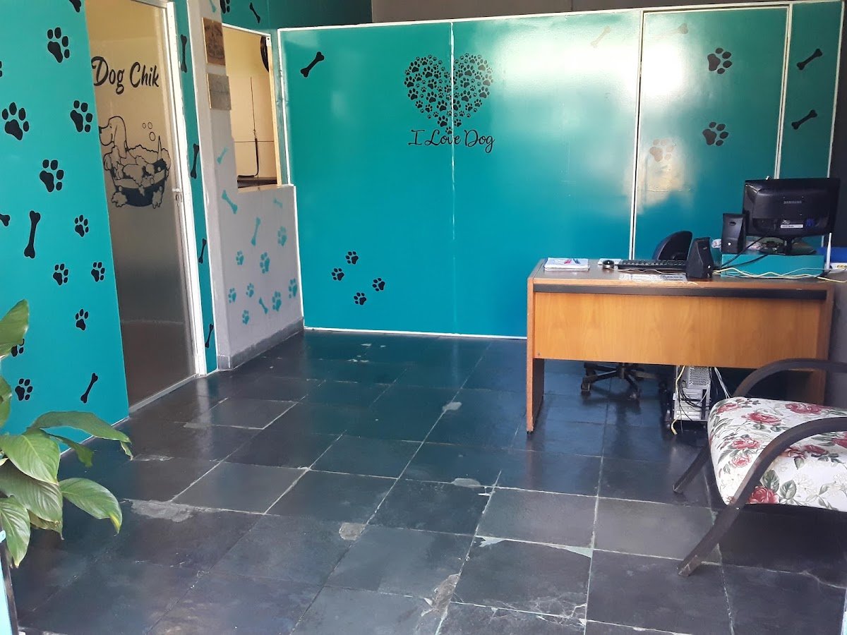 Pata Chick banho e tosa