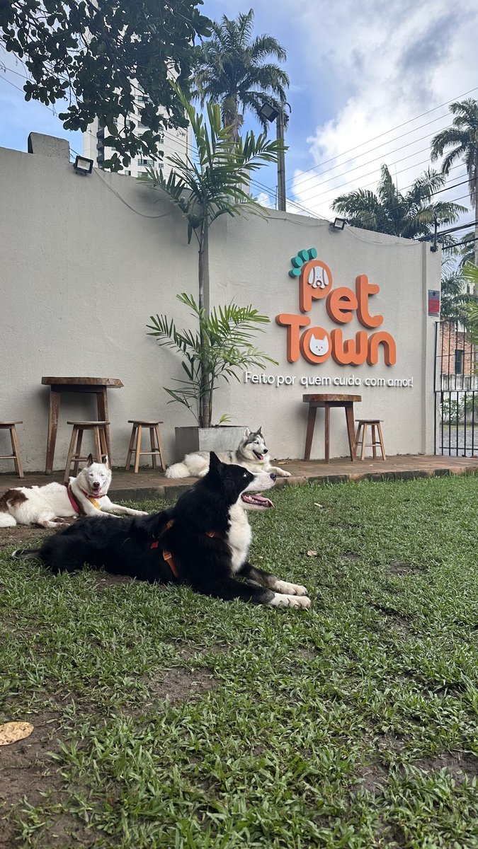 Petpet - Recife