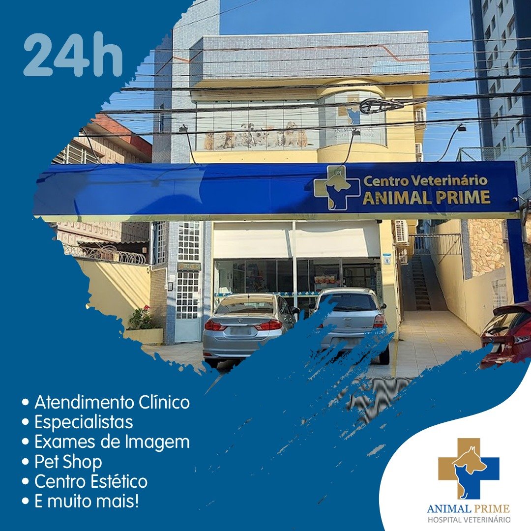 Vet Prime Pet Shopping