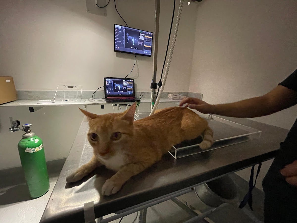 Clinica Veterinária Popular