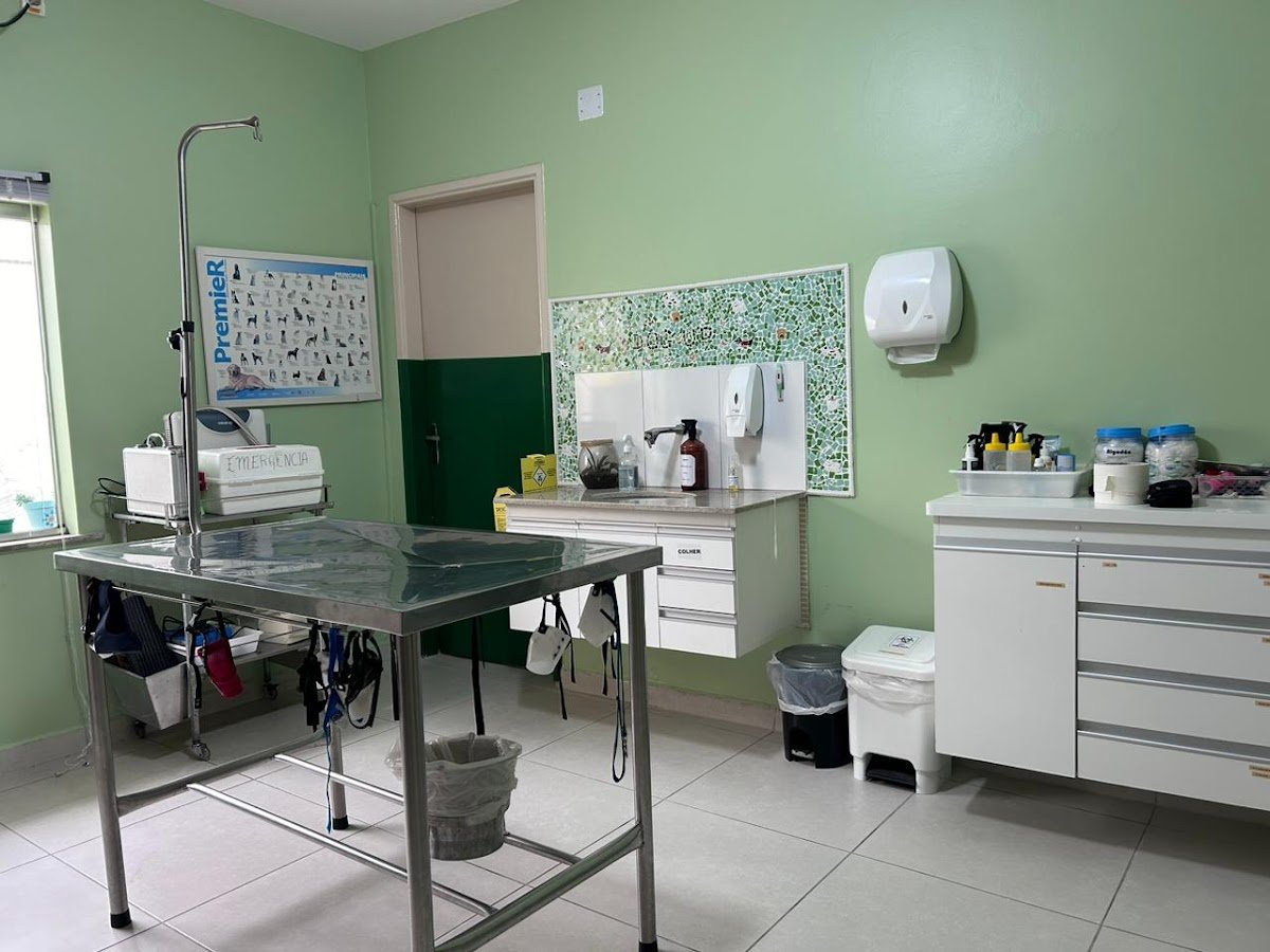 Clínica Veterinaria 24 horas - DOG UP